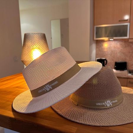 Superbe Appartement Avec Jardin Quart Mazarin เอ็ก-ซอง-โพรวองซ์ ภายนอก รูปภาพ